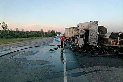 На тюменской трассе водитель погиб, уходя от косули